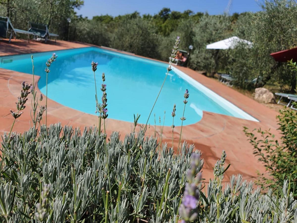Agriturismo "Crocino In Chianti" Gaiole in Chianti Dış mekan fotoğraf