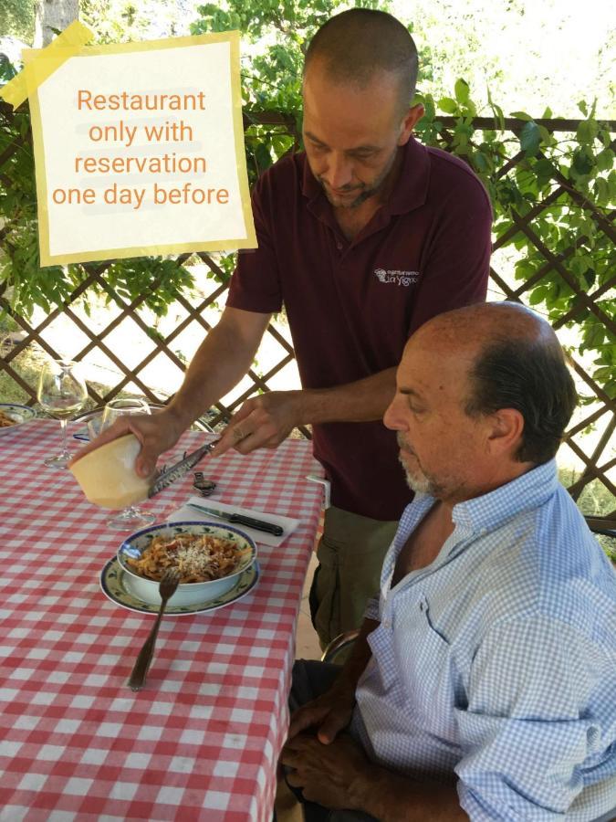Agriturismo "Crocino In Chianti" Gaiole in Chianti Dış mekan fotoğraf