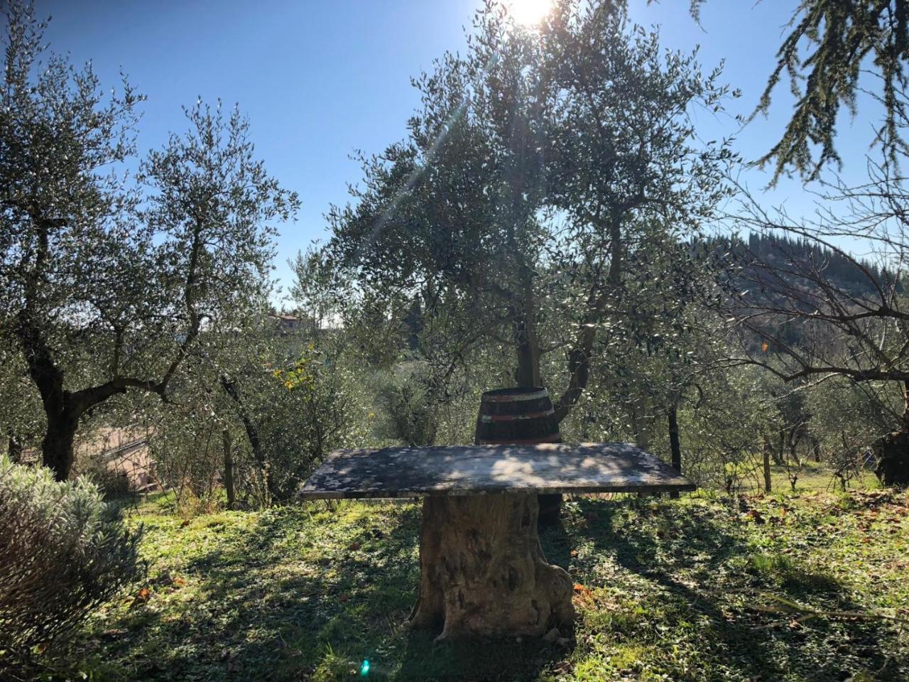 Agriturismo "Crocino In Chianti" Gaiole in Chianti Dış mekan fotoğraf