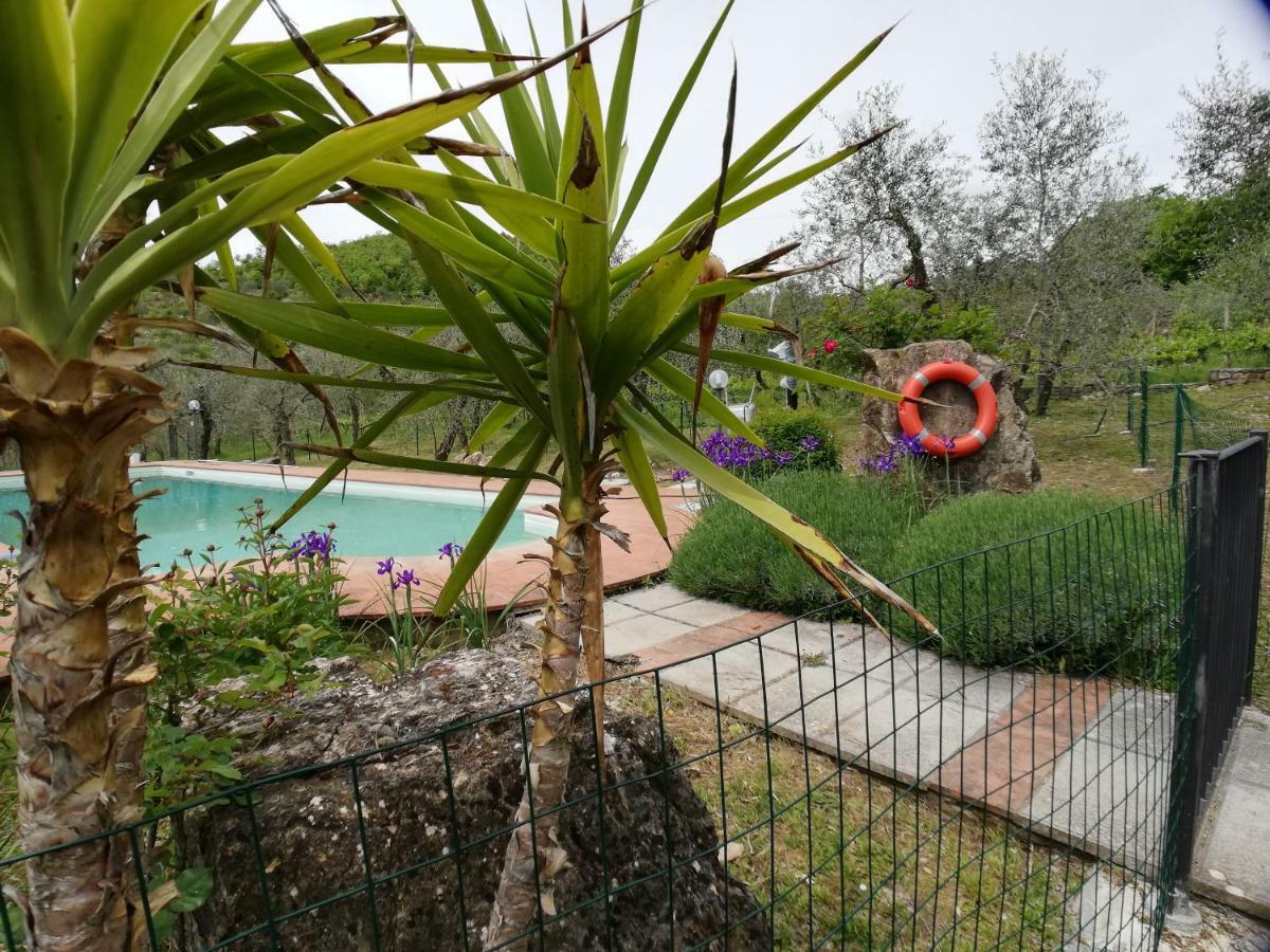 Agriturismo "Crocino In Chianti" Gaiole in Chianti Dış mekan fotoğraf