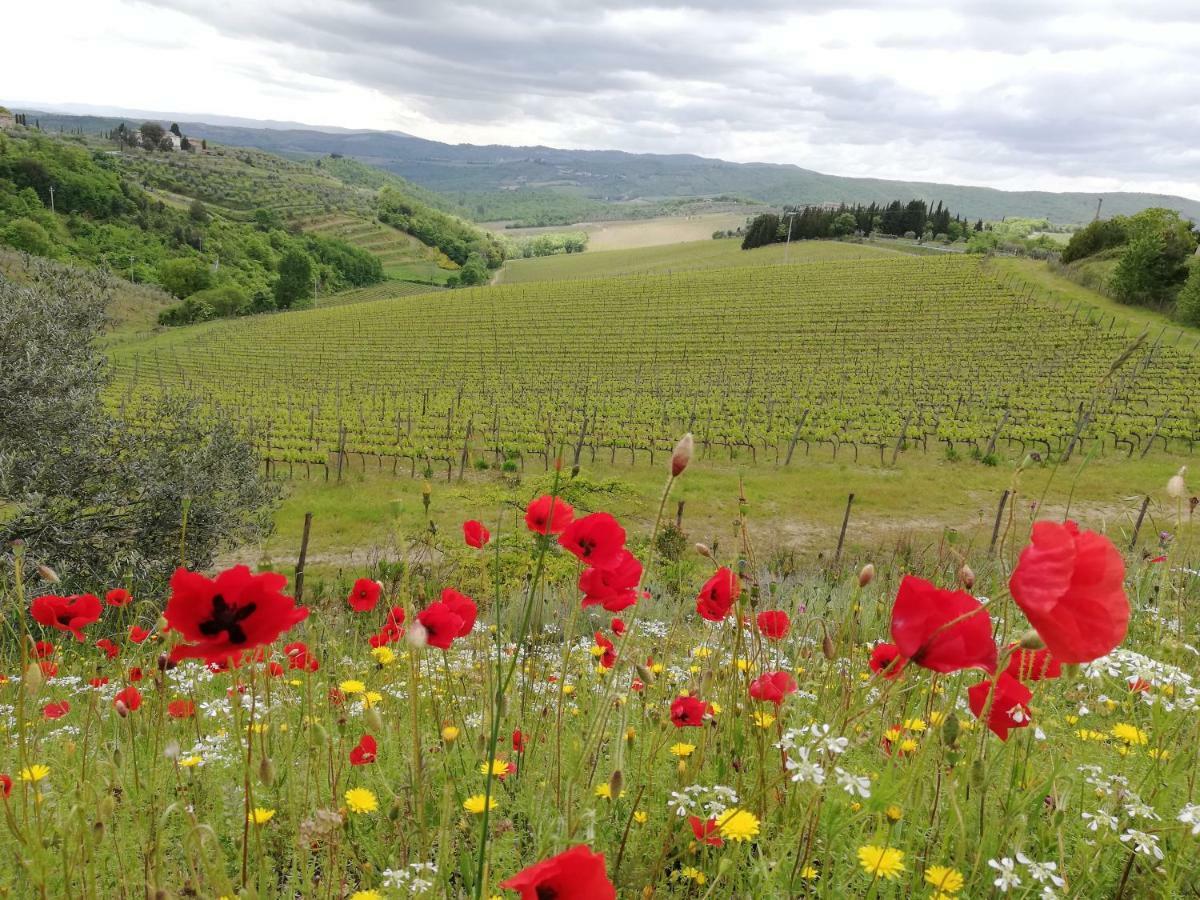 Agriturismo "Crocino In Chianti" Gaiole in Chianti Dış mekan fotoğraf