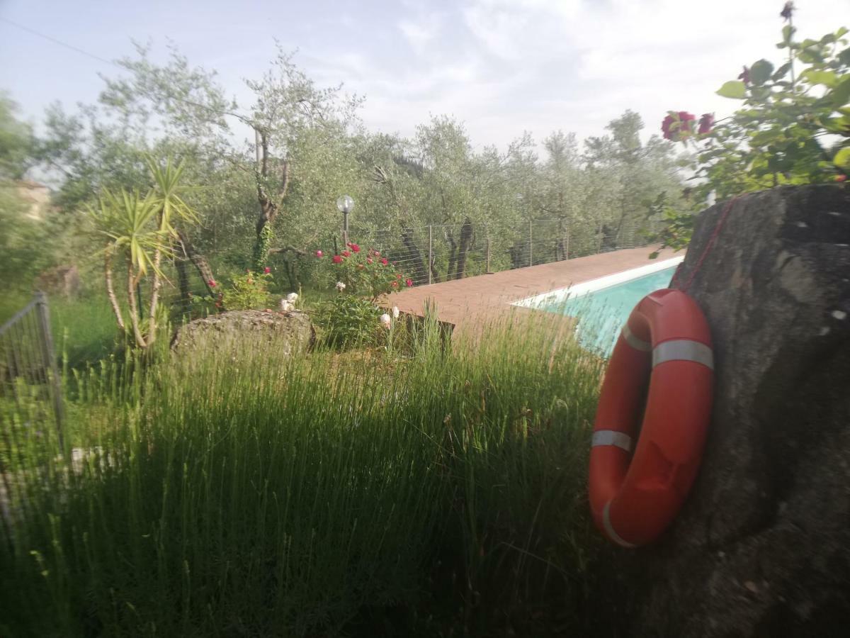 Agriturismo "Crocino In Chianti" Gaiole in Chianti Dış mekan fotoğraf