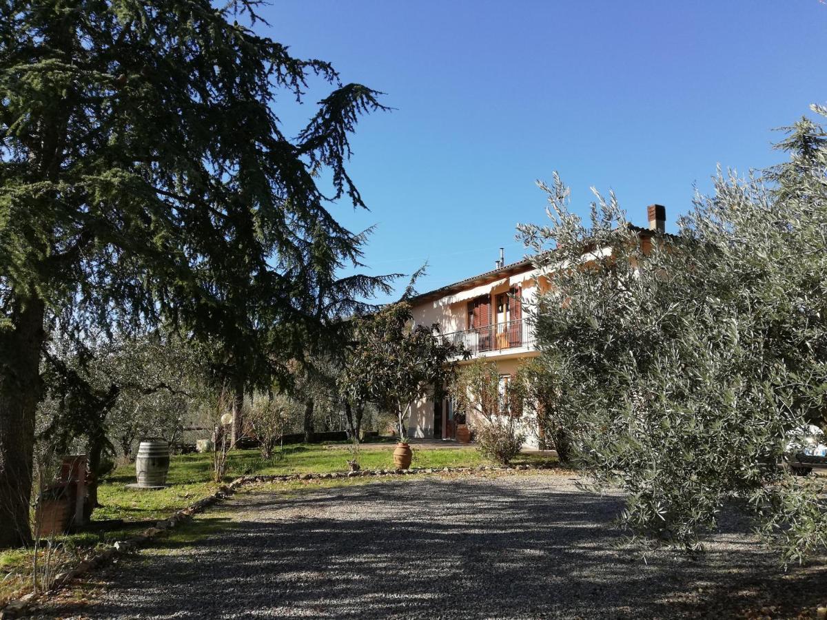 Agriturismo "Crocino In Chianti" Gaiole in Chianti Dış mekan fotoğraf